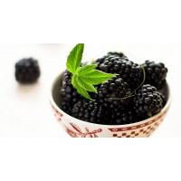 Thickshake Premix Black Cherry - 400G