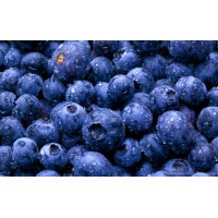 Ice Cream Premix Blueberry - 400G