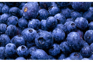 Glucose Premix Blue Berry - 4000g