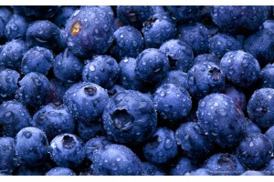 Ice Cream roll Premix Blueberry - 4000G