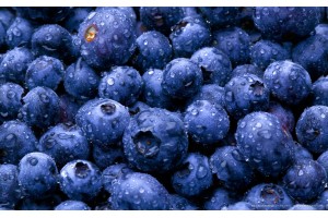 Sauce Premix Blueberry - 4000G