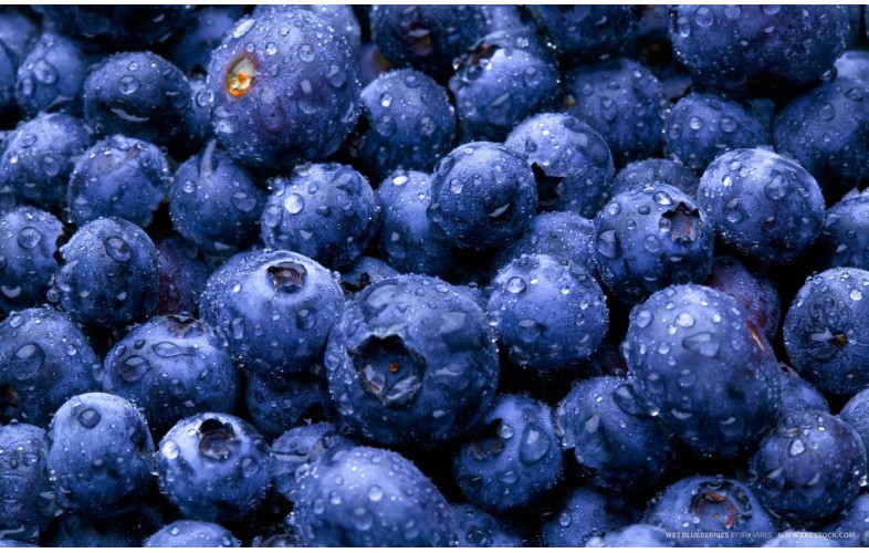 Sauce Premix Blueberry - 400G