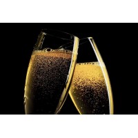 Milkshake Premix Champagne - 400G