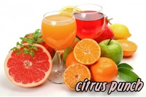 Glucose Premix Citrus punch - 4000g