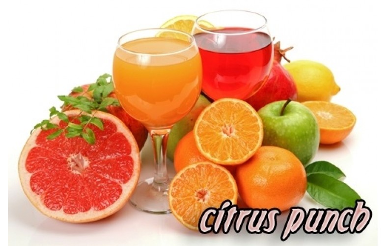 Sauce Premix Citrus Punch - 400G