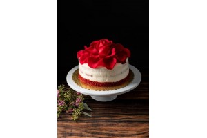 Cake Premix Rose - 4000g