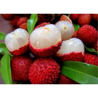 Nitrogen Ice Cream Premix Lychee - 400G