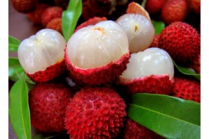 Ice Cream Premix Lychee - 800G