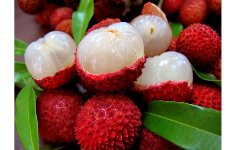 Ice Cream Premix Lychee - 400G