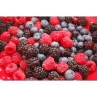 Milkshake Premix Mix Berries - 400G