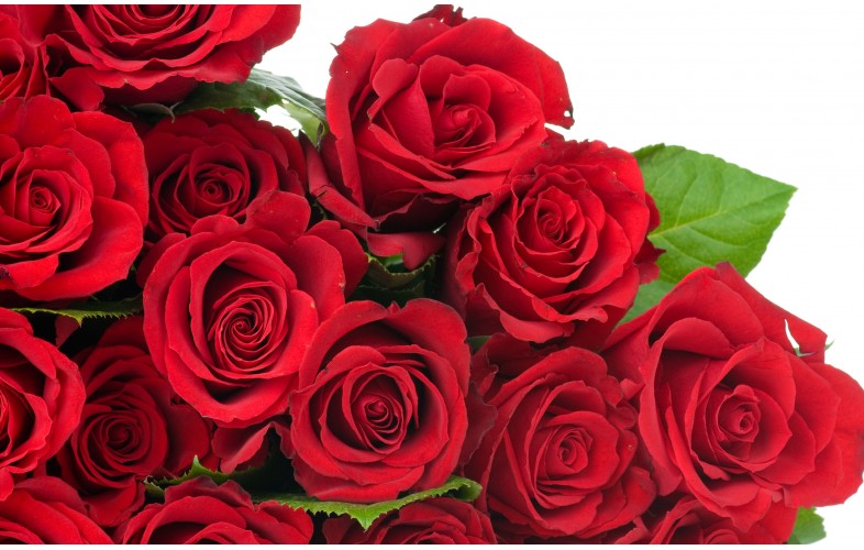 Smoothie Premix Rose - 400G