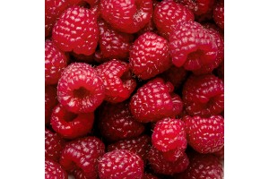 Milk Popsicle Premix Raspberry - 4000G