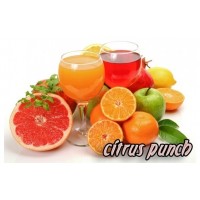 Softy Premix Citrus punch - 400g