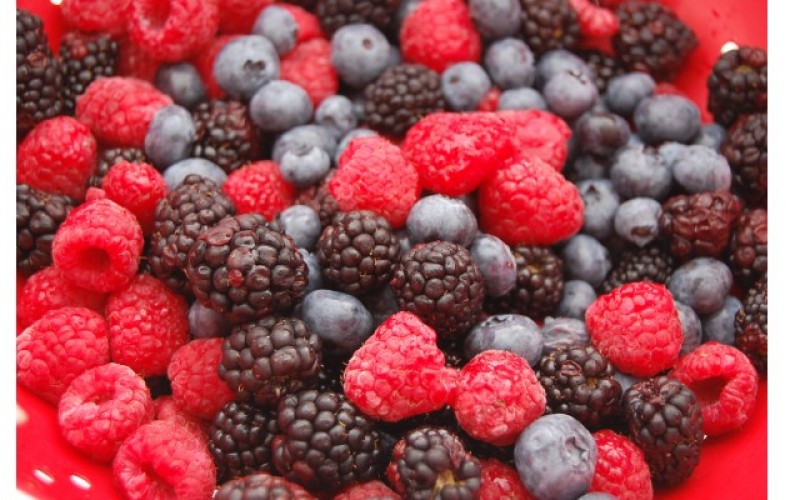 Softy Premix Mix Berries - 800G