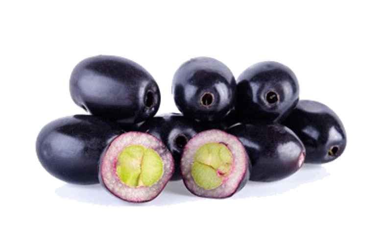 Softy Premix Jamun - 400g