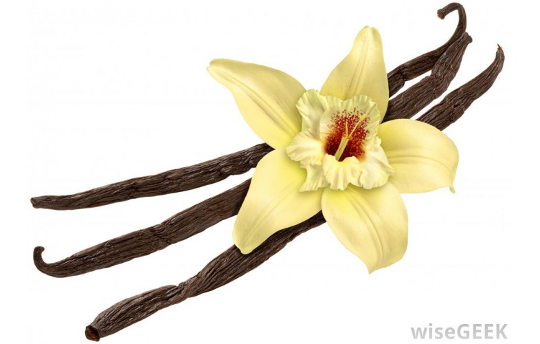 Gelato Premix Vanilla - 800G