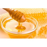 Thickshake Premix Honey-400G