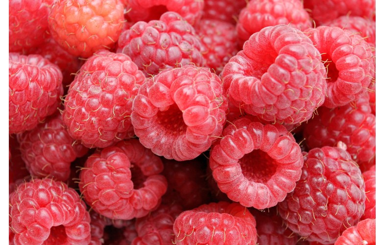 Sauce Premix Raspberry - 4000G